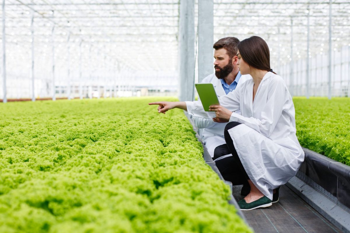 Agricultural processing facility and farmland representing private credit financing for agribusinesses in Asia Pacific