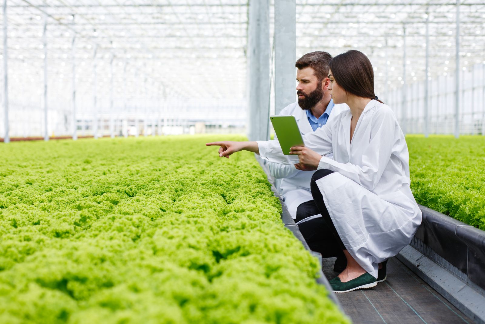 Agricultural processing facility and farmland representing private credit financing for agribusinesses in Asia Pacific